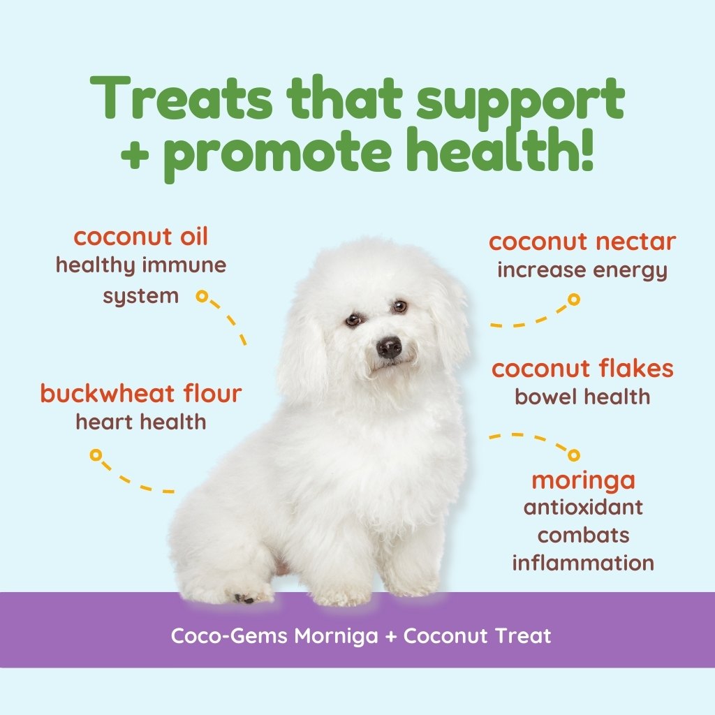 Coco-Gems Training Treats Moringa + Coconut - Organic Training Treat for dogs