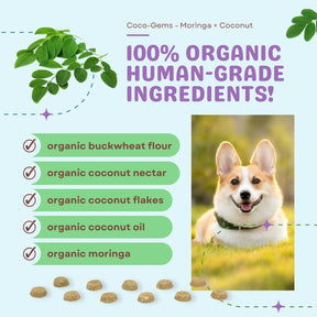Coco-Gems Training Treats Moringa + Coconut - Organic Training Treat for dogs