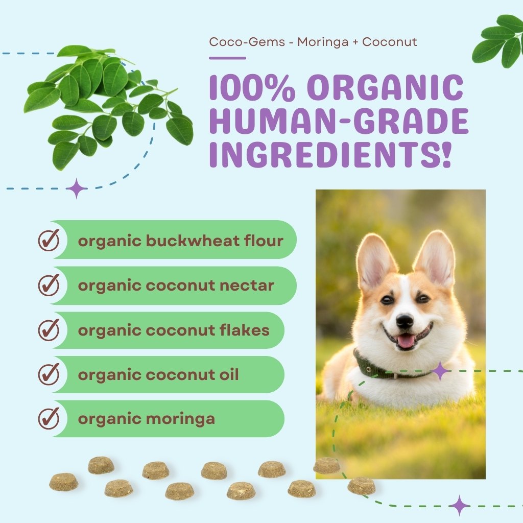 Coco-Gems Triple Treat - Organic Training Treats for dogs