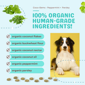 Coco-Gems Training Treats Peppermint + Parsley - Organic Training Treat for dogs