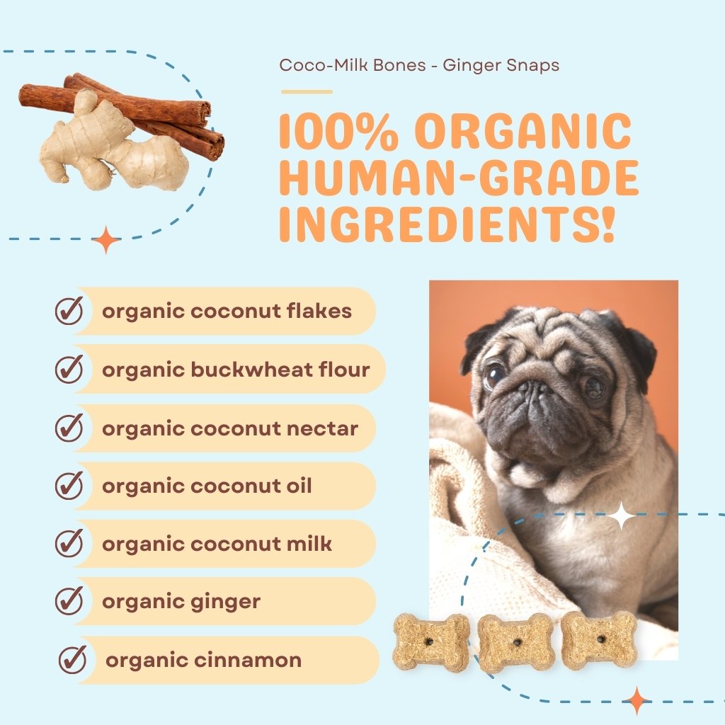 Coco-Milk Bones Ginger Snaps Biscuit - Organic Coconut Treat for dogs