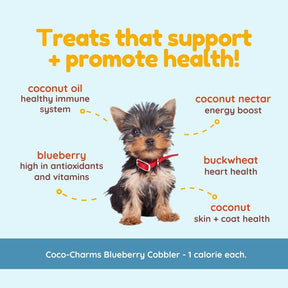 Coco-Charms Training Treats Blueberry Cobbler - Organic Training Treat for dogs