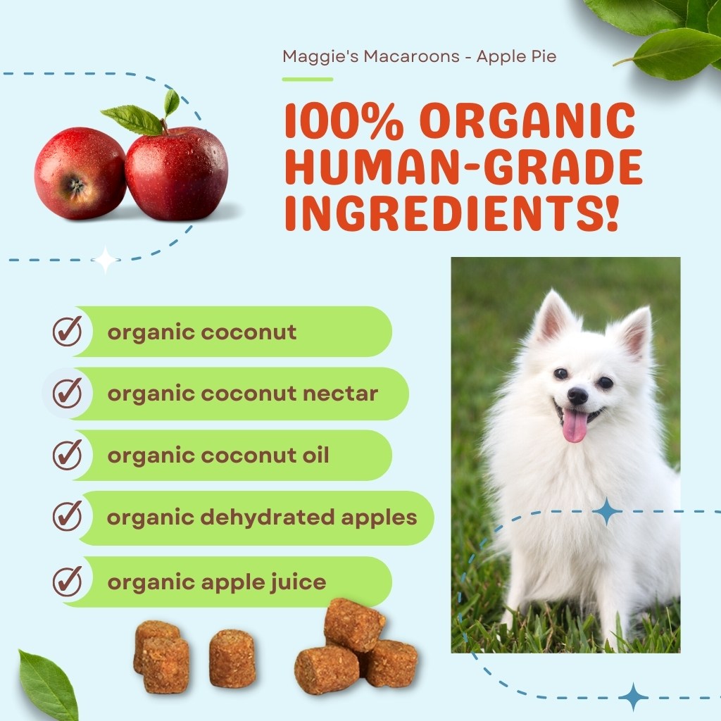 Maggie's Macaroons Coconut Apple Pie - Organic Coconut Treat for dogs