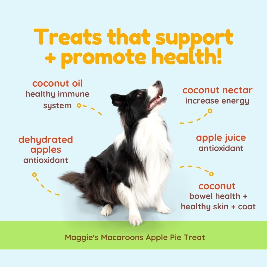Maggie's Macaroons Coconut Apple Pie - Organic Coconut Treat for dogs