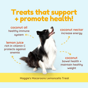 Maggie's Macaroons Coconut Lemoncello - Organic Coconut Treat for dogs