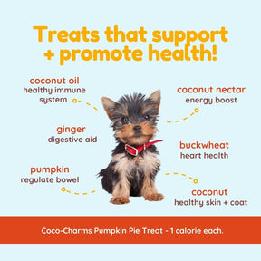 Coco-Charms Training Treats Pumpkin Pie - Organic Training Treat for dogs