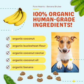 Pure Hearts Coconut Cookies Banana Brulée - Organic Treat for dogs