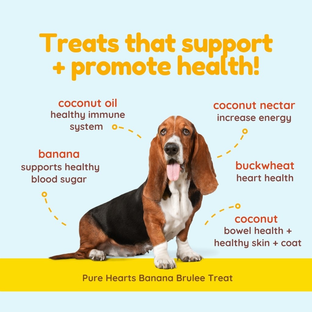Pure Hearts Coconut Cookies Banana Brulée - Organic Treat for dogs