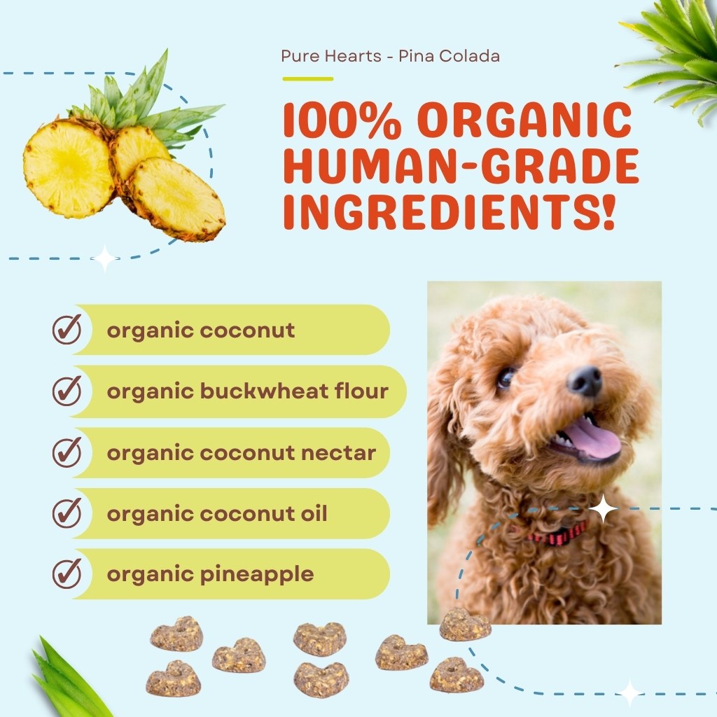 Pure Hearts Coconut Cookies Piña Colada - Organic Treat for dogs