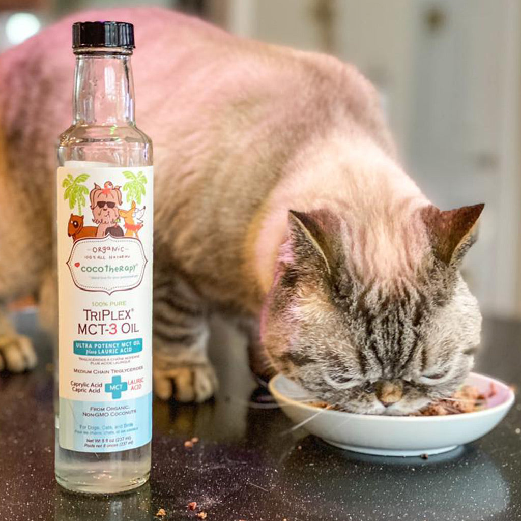 TriPlex MCT-3 Oil for Dogs & Cats | C8 C10 C12 Coconut MCT Oil for