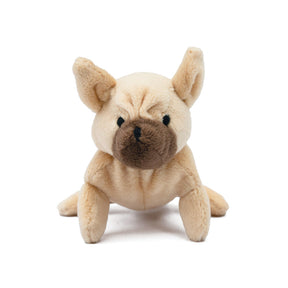 French Bulldog Pipsqueak Toy