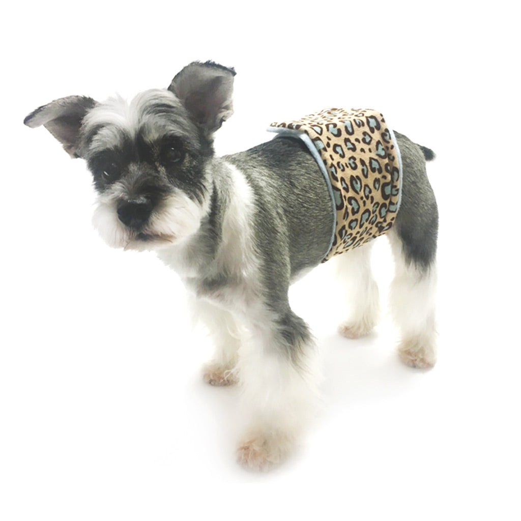 Wild Child Leopard Male Dog Belly Band