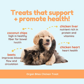 Organ Bites! Chicken Organs + Beets + Coconut - Raw Organ Meat Treat for dogs and cats