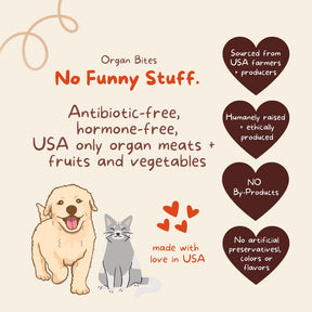 Organ Bites! Turkey Organs + Pumpkin + Coconut - Raw Organ Meat Treat for dogs and cats