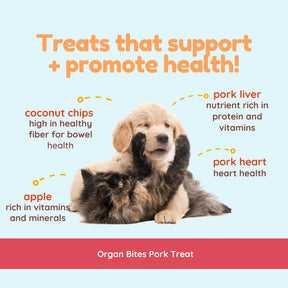 Organ Bites! Pork Organs + Apples + Coconut - Raw Organ Meat Treat for dogs and cats