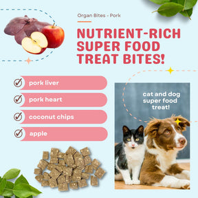 Organ Bites! Pork Organs + Apples + Coconut - Raw Organ Meat Treat for dogs and cats