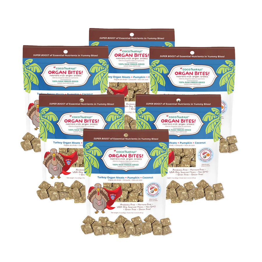 Organ Bites Turkey Pumpkin Coconut Chips For Dogs