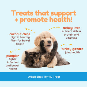 Organ Bites! Turkey Organs + Pumpkin + Coconut - Raw Organ Meat Treat for dogs and cats