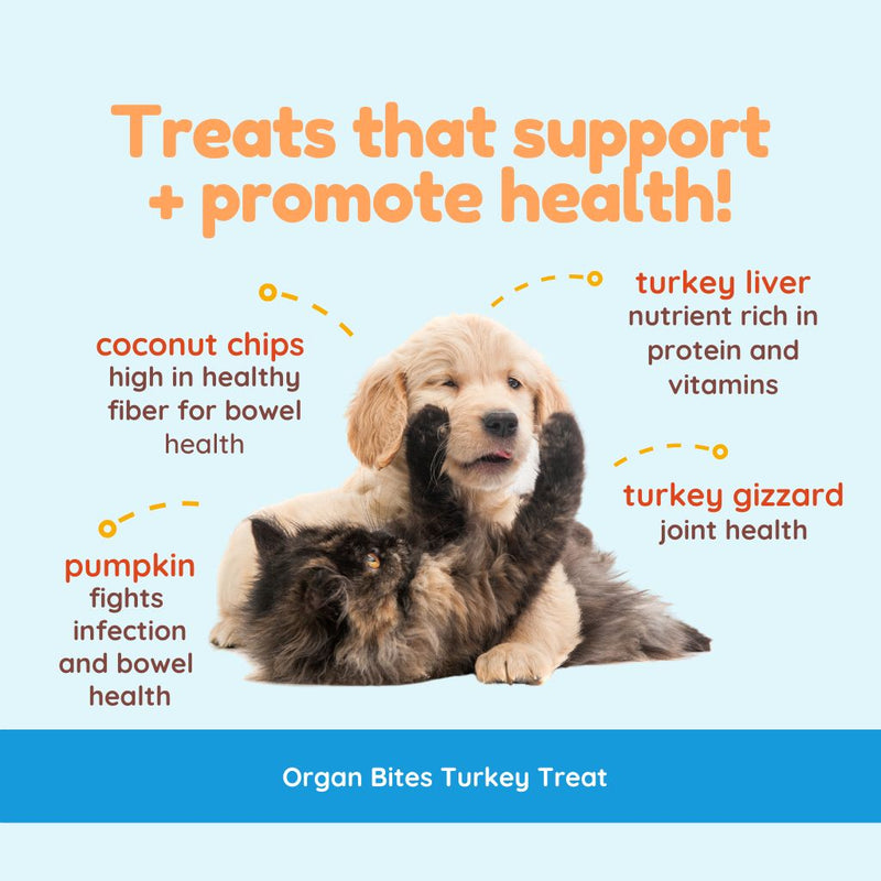 Organ Bites Turkey Pumpkin Coconut Chips For Dogs